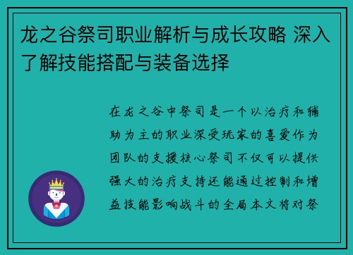 龙之谷祭司职业解析与成长攻略 深入了解技能搭配与装备选择
